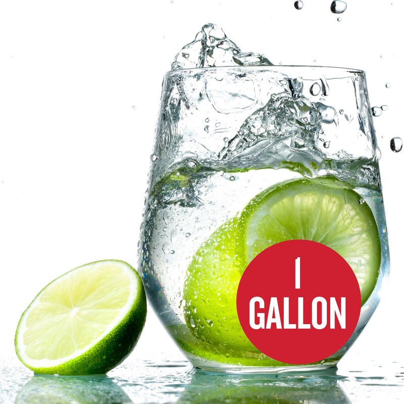 Lime Hard Seltzer Recipe Kit - 1 Gallon Recipe Kit