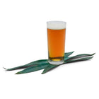 Mexican Agave Lager All Grain Recipe Kit in a glass with agave leaves below