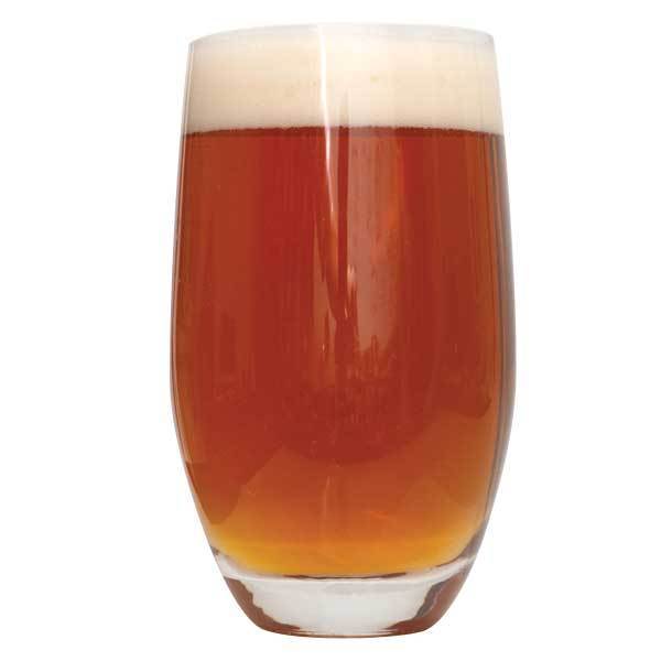 Smashing Pumpkin Ale homebrew in a glass
