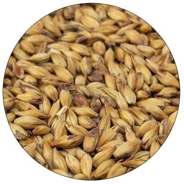 Cara Ruby Malt - Root Shoot Malting