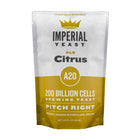 Pouch of Imperial Yeast A20 Citrus