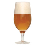 Exotic Tropic Wheatwine Extract Beer Recipe Kit