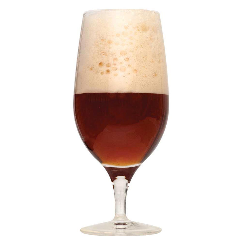 Spiced Winter Ale in a drinking glass