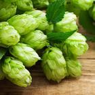 Cluster Hops