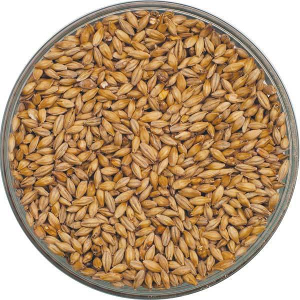 German Pilsen Malt in a display bowl