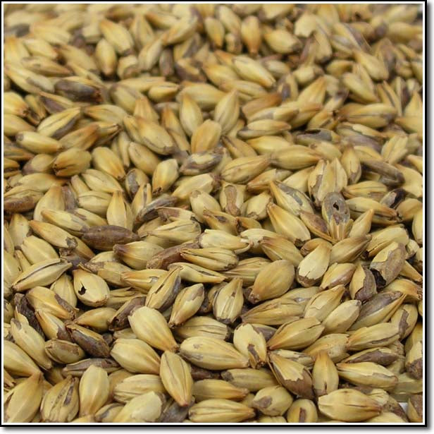 Close-up view of Briess Organic Caramel Malt