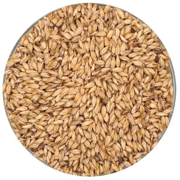 Briess Carapils® Malt in a bowl