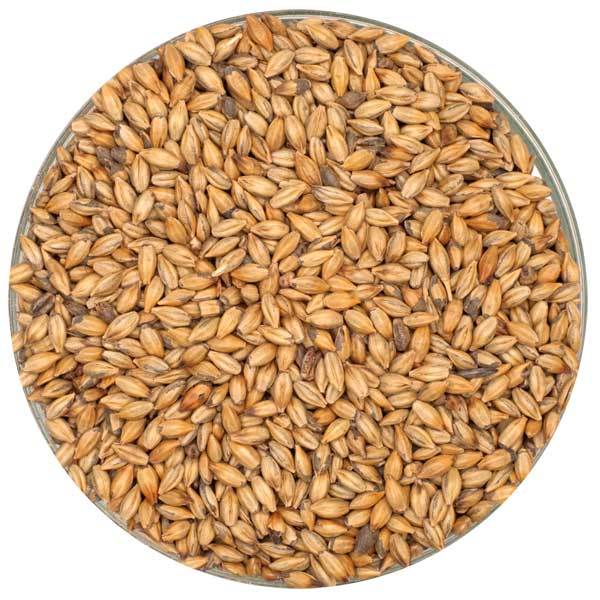 Detail view of Crisp Amber Malt