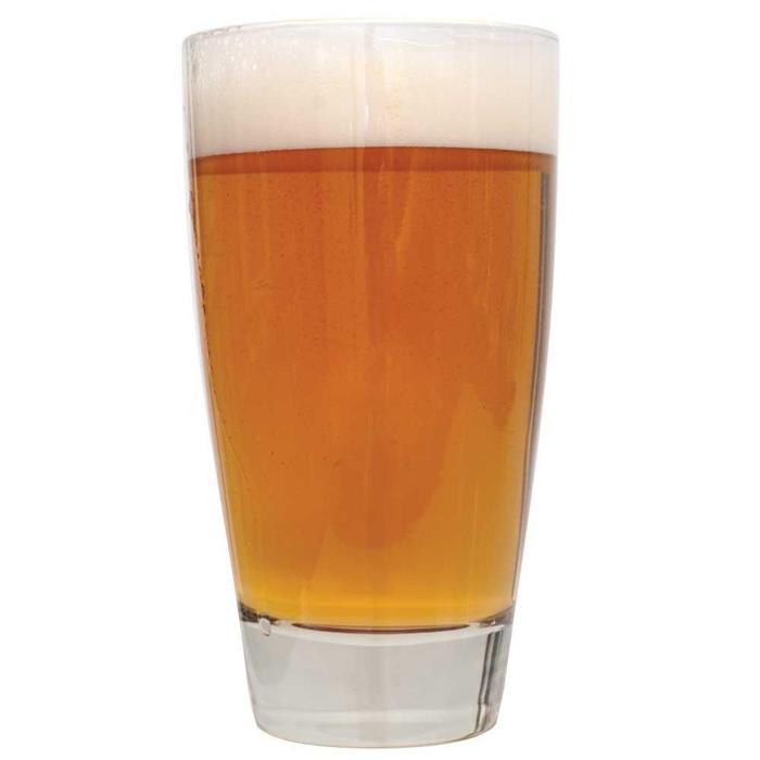 Drinking glass filled with Sierra Madre pale ale homebrew