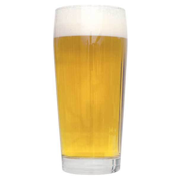 Kolsch homebrew in a glass