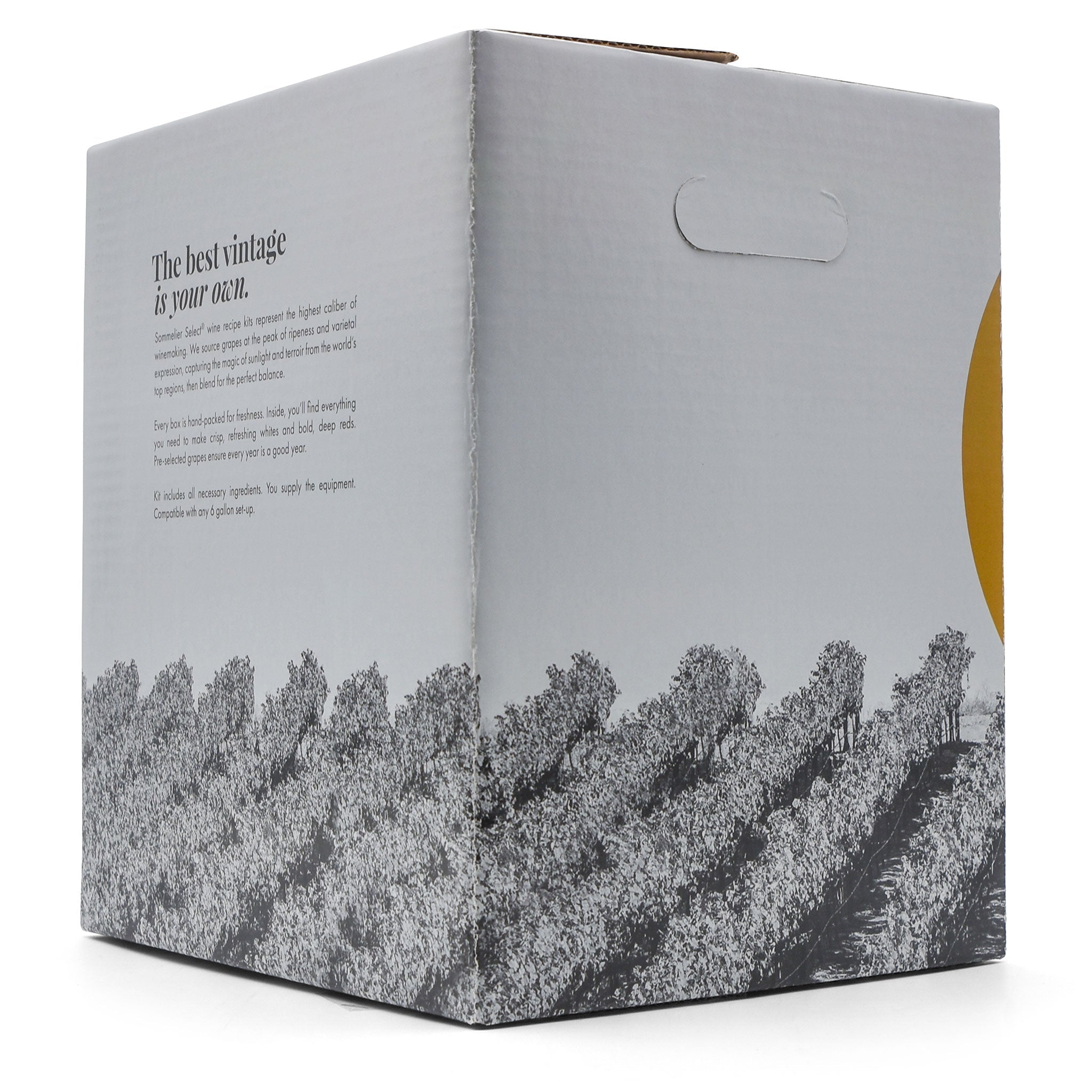 California Sauvignon Blanc Wine Kit - Master Vintner® Sommelier Select® side