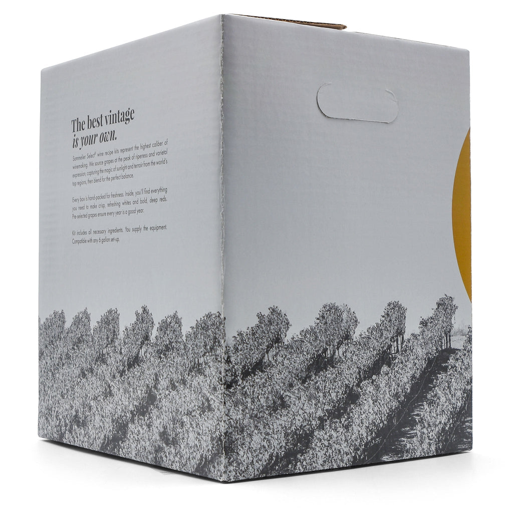 Chilean Carmenere Wine Kit - Master Vintner® Sommelier Select®
