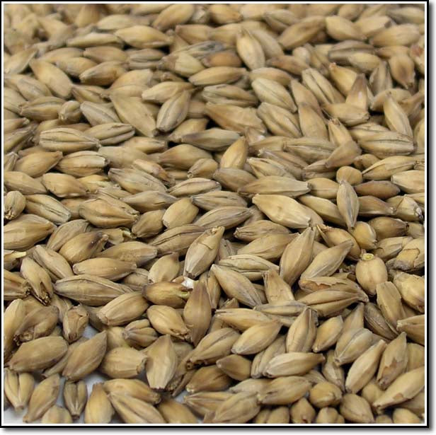 Detail view of Fawcett Optic Malt