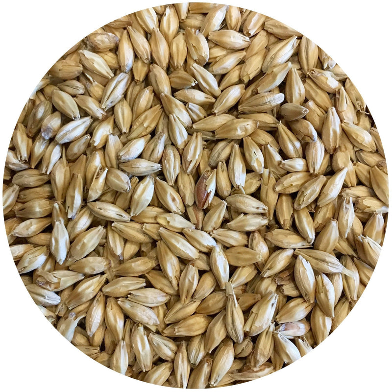 Genie Pale Malt - Root Shoot Malting