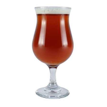 Spiced winter ale homebrew in a glass