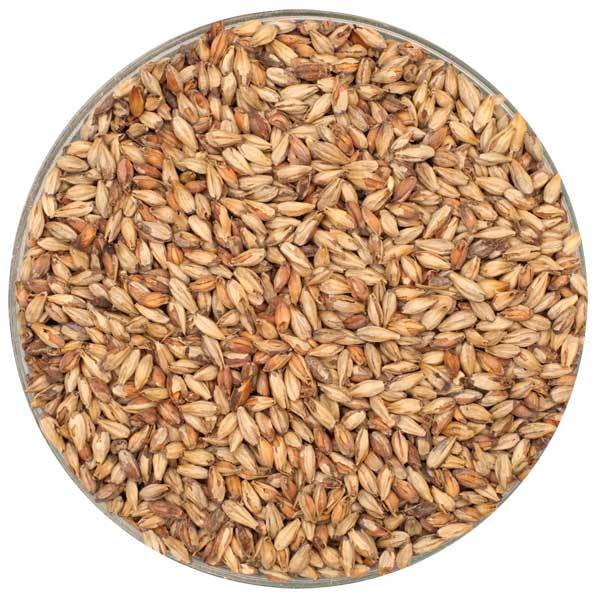 Bowl of Briess Victory® Malt