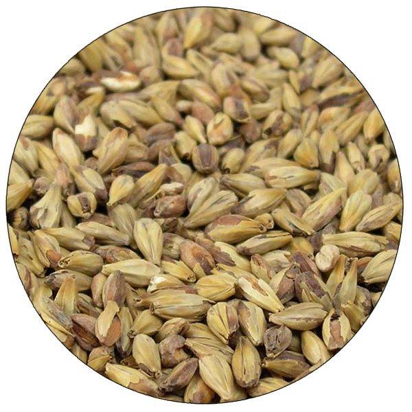 Briess Special Roast malt in a close-up view