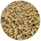 Munich 10 Malt - Root Shoot Malting