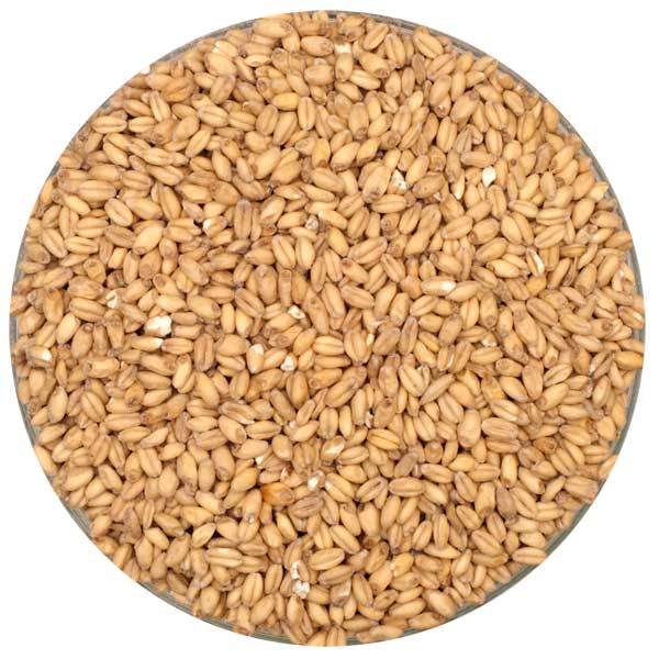 Olandsvete Wheat Malt - Root Shoot Malting - 50lb Sack