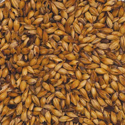 Close-up of Simpsons DRC™ Malt