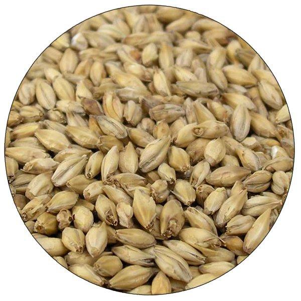 Close-up view of Briess 2-Row Brewers Malt