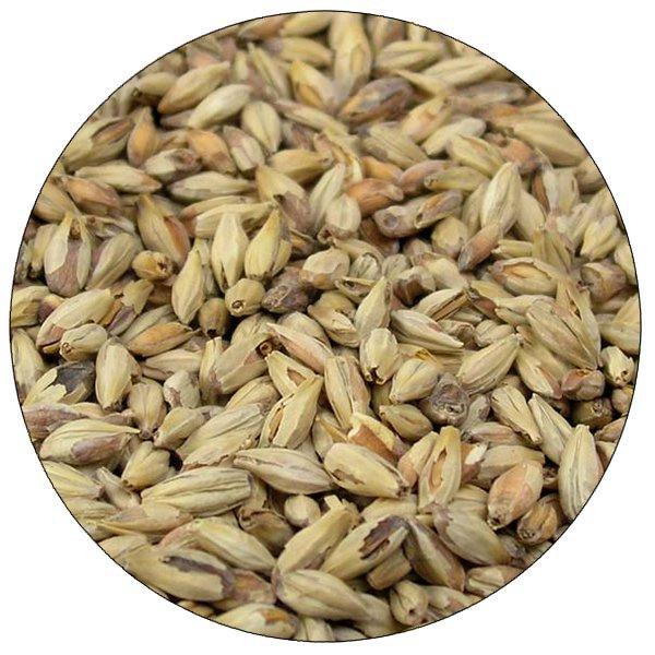 Detail view of Briess Pale Ale Malt